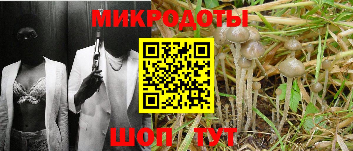 Дубна  Галлюциногенные грибы Psilocybine cubensis  Вход с VPN 